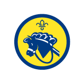 Beavers Hobbies badge