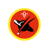 Cubs Astronomer badge
