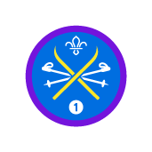 Staged Snowsports badge