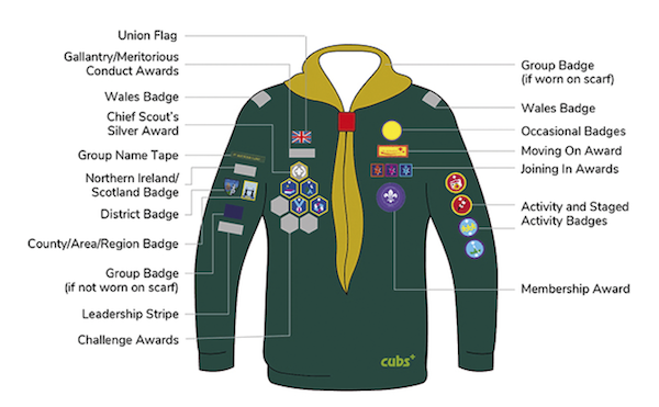 Cubs badge placement