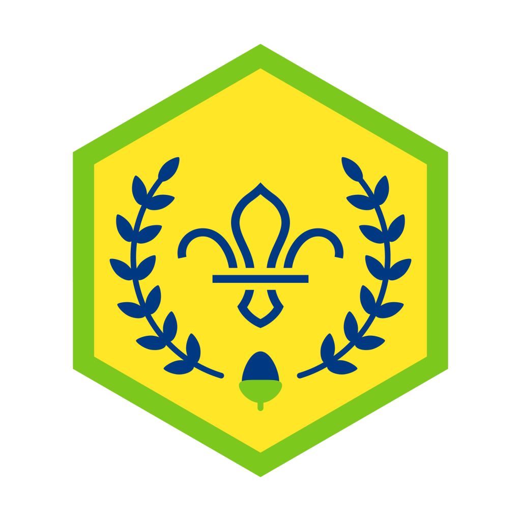 Chief Scout's Acorn Award